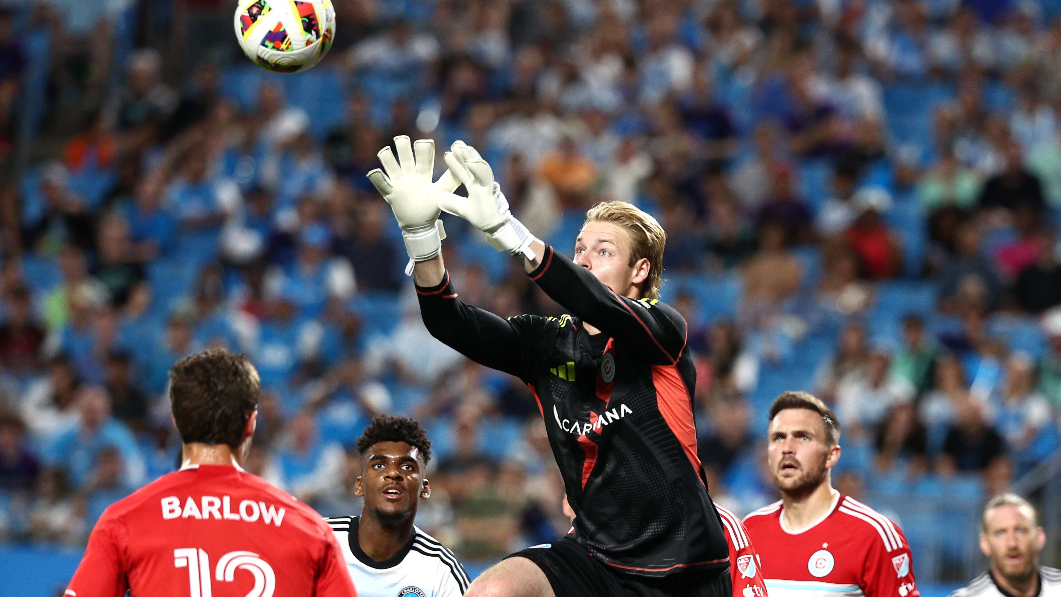 增强了他们 增强了他们