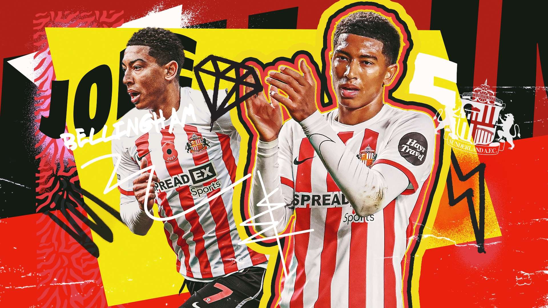 从球队需求 从球队需求